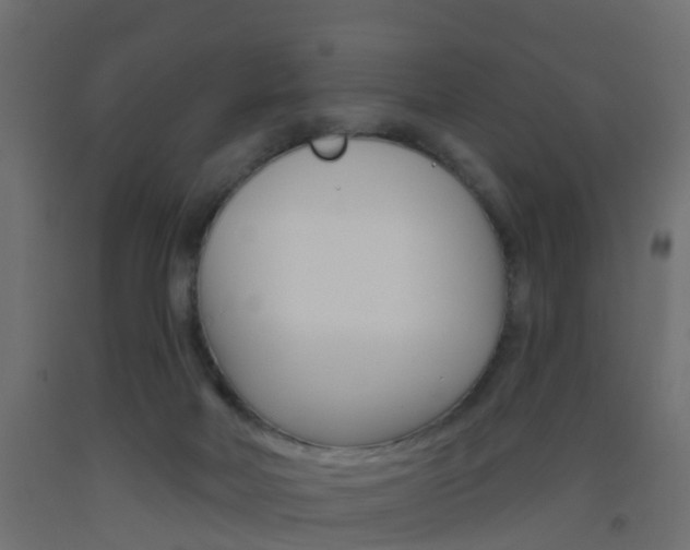 X0000093500026200710121052