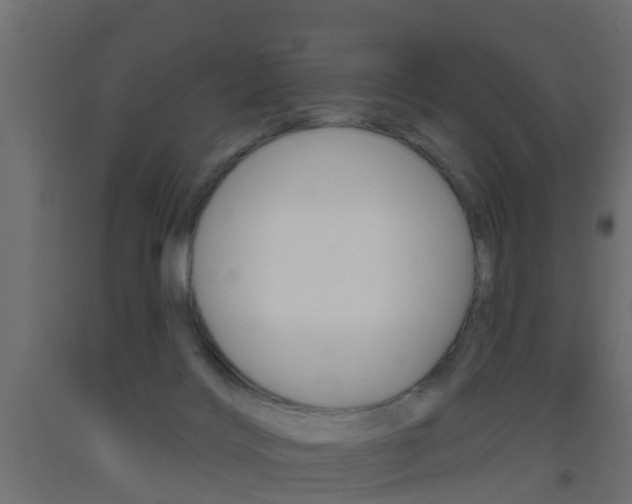 X0000093500028200710121052