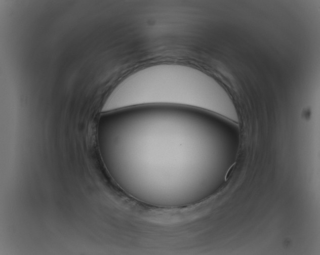 X0000093500029200710121052