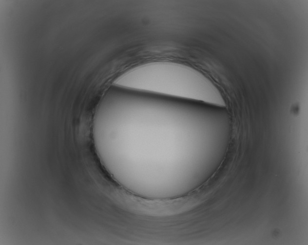 X0000093500030200710121052