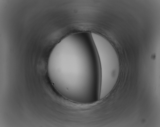 X0000093500031200710121052