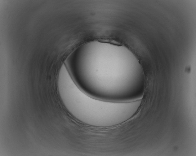 X0000093500033200710121052