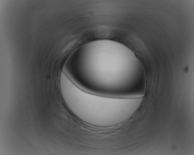 X0000093500035200710121052