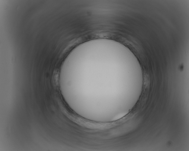 X0000093500036200710121052