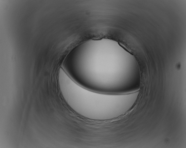 X0000093500037200710121052