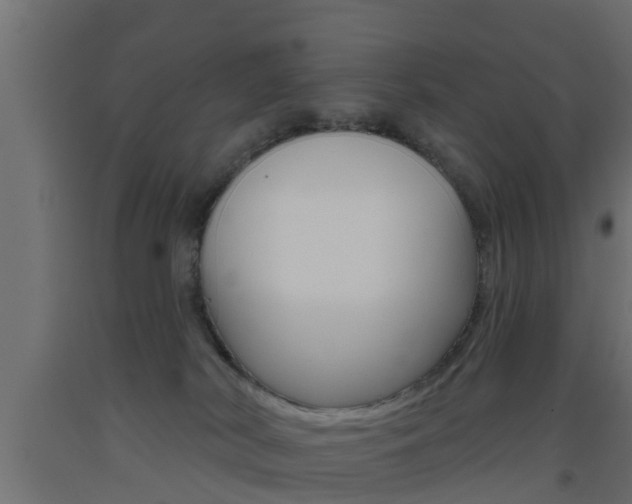 X0000093500038200710121052