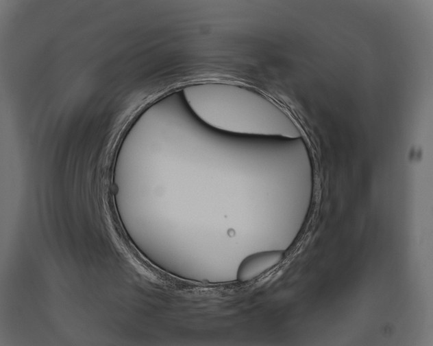 X0000093500049200710121051