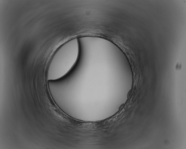 X0000093500050200710121051