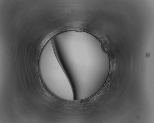 X0000093500051200710121051