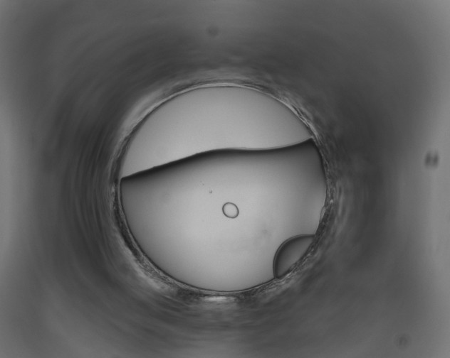 X0000093500053200710121051