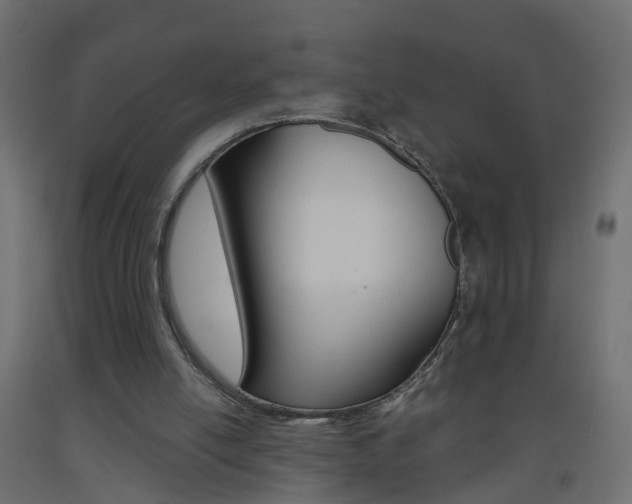 X0000093500054200710121051