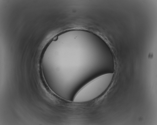X0000093500055200710121051