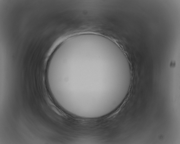 X0000093500056200710121051
