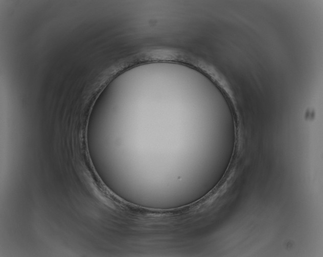 X0000093500057200710121051