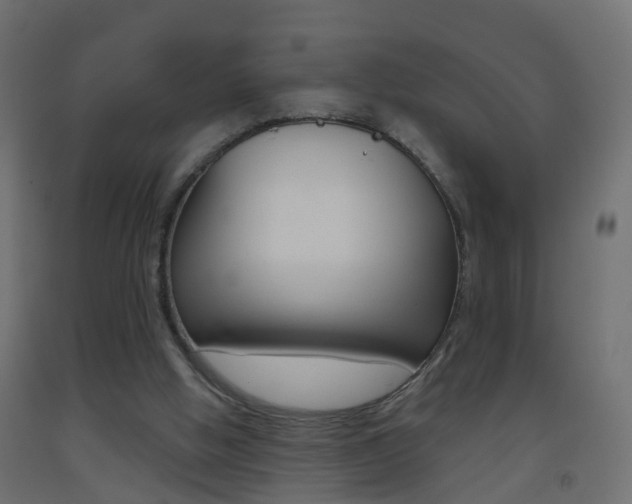 X0000093500058200710121051