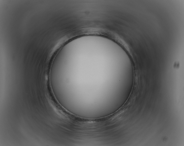 X0000093500059200710121051