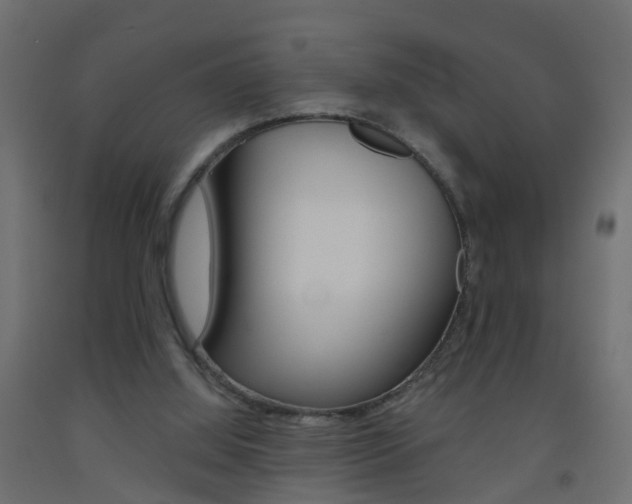 X0000093500060200710121051