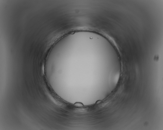 X0000093500061200710121051