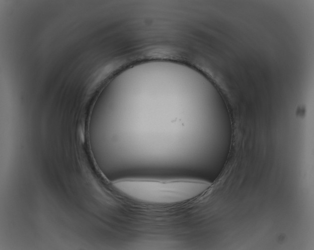 X0000093500062200710121051