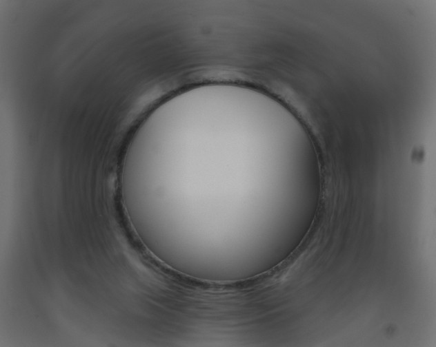 X0000093500063200710121051
