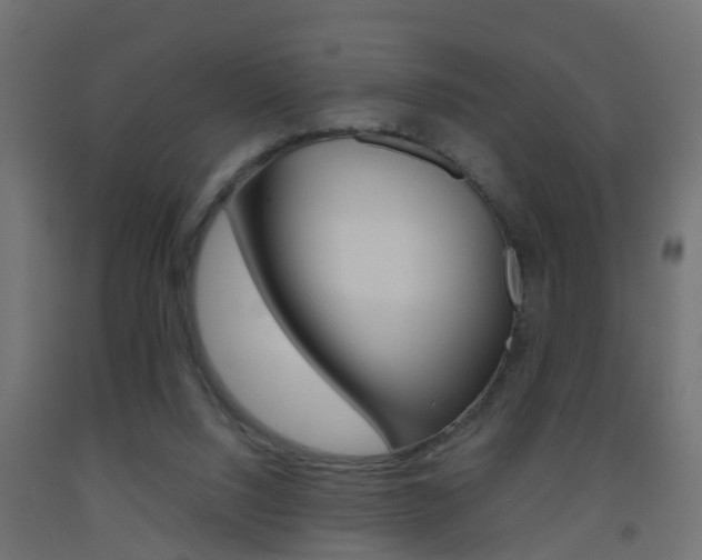 X0000093500064200710121051