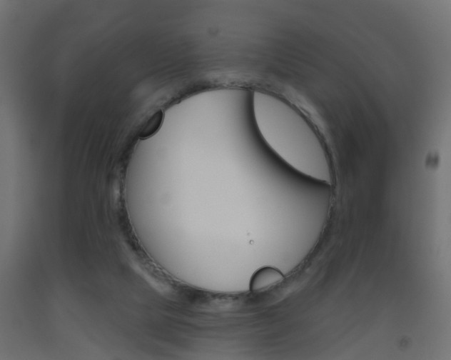 X0000093500065200710121051
