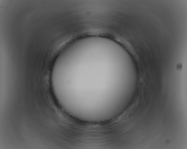 X0000093500066200710121051