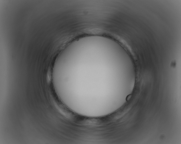 X0000093500069200710121051