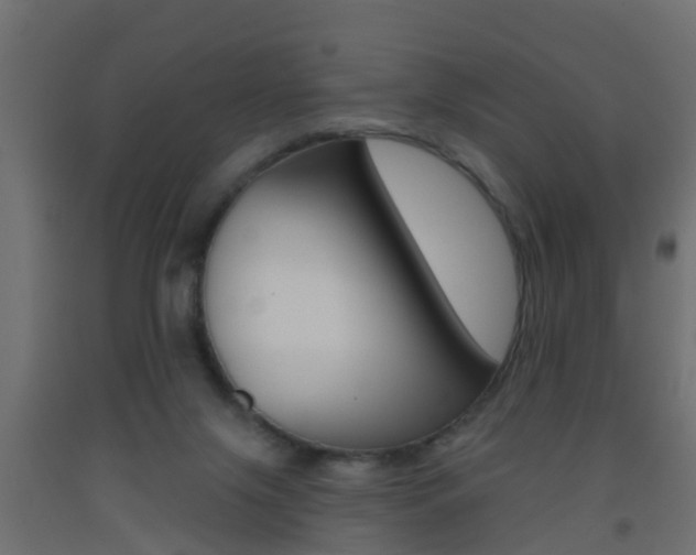 X0000093500071200710121051