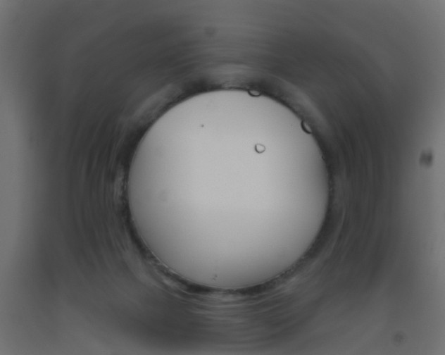 X0000093500073200710121051