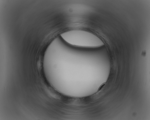 X0000093500074200710121052