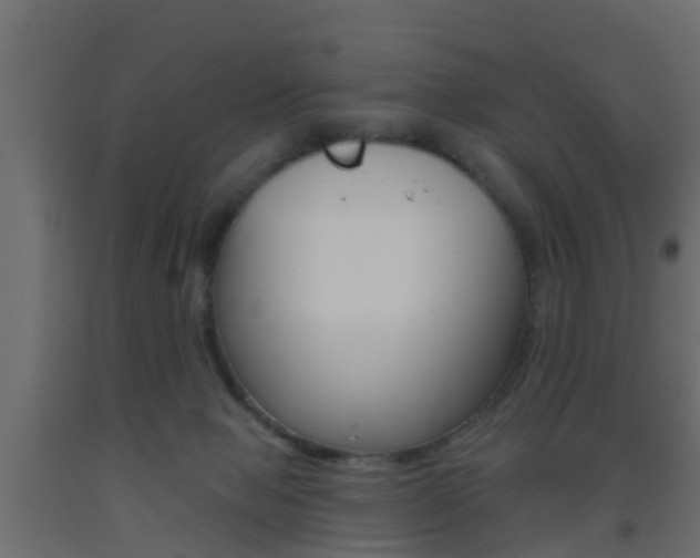 X0000093500077200710121052