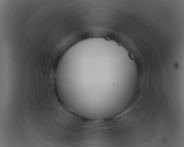 X0000093500078200710121052