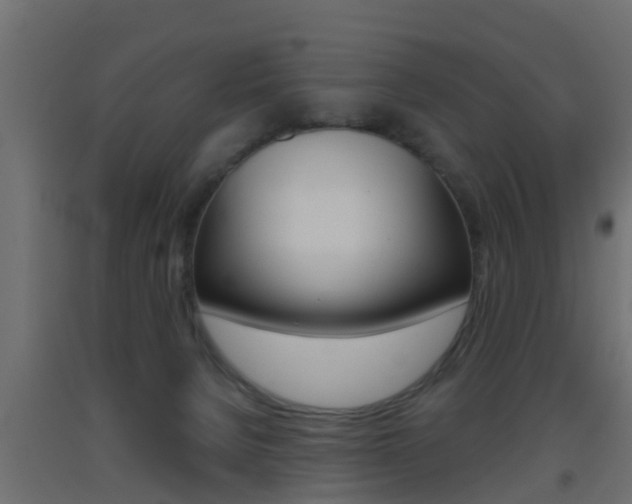 X0000093500080200710121052