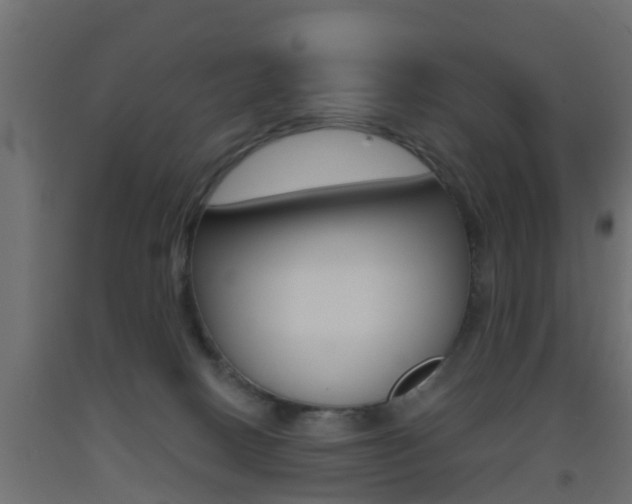 X0000093500082200710121052
