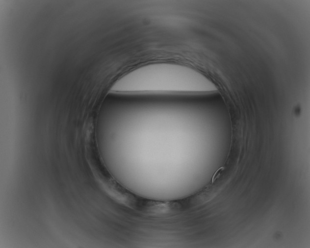X0000093500083200710121052
