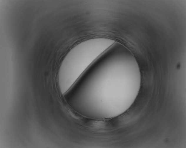 X0000093500085200710121052
