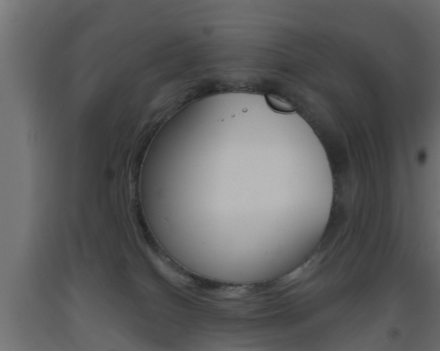 X0000093500086200710121052