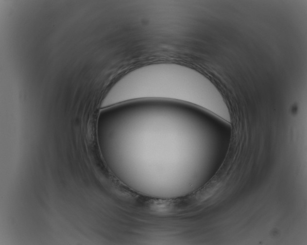 X0000093500088200710121052