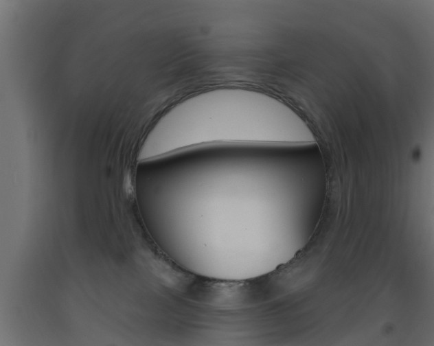 X0000093500089200710121052