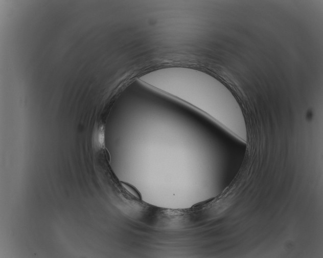 X0000093500095200710121052