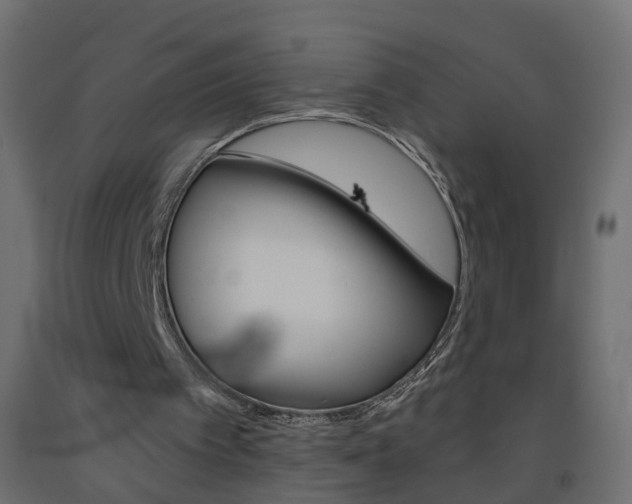 X0000093500097200710121051