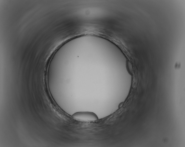 X0000093500098200710121051