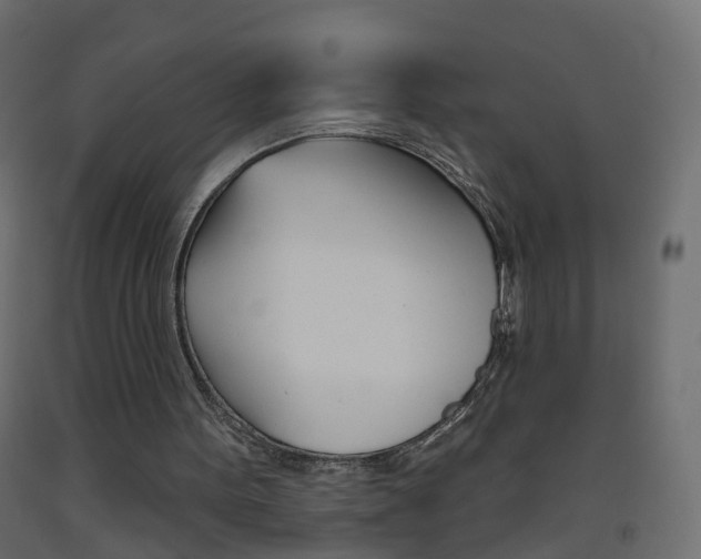X0000093500099200710121051