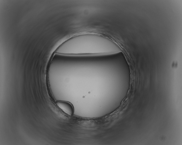 X0000093500100200710121051