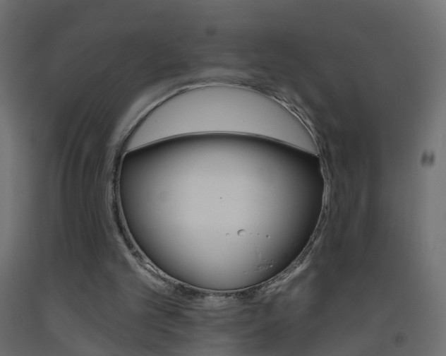 X0000093500101200710121051