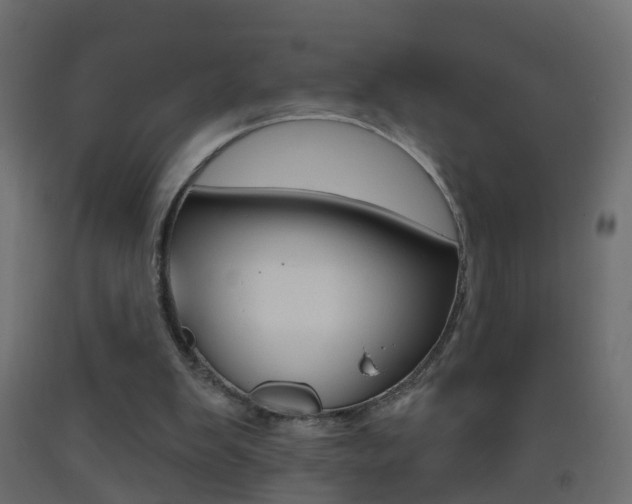 X0000093500103200710121051