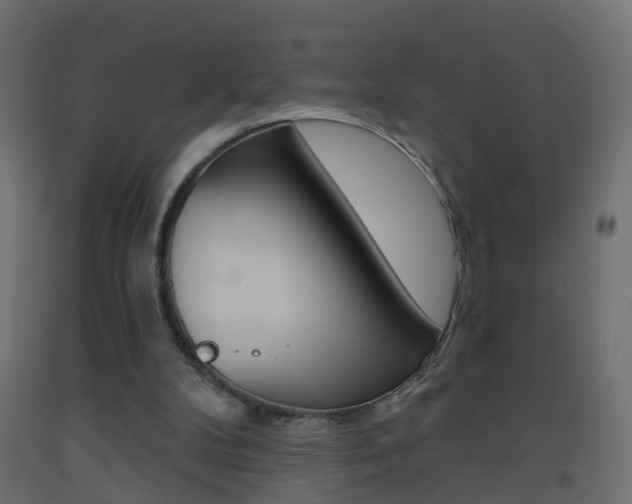 X0000093500104200710121051