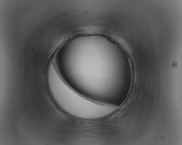 X0000093500105200710121051