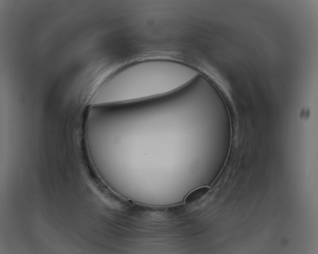 X0000093500107200710121051